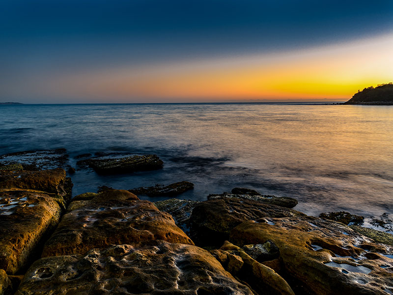 sunrise portraiture sydney